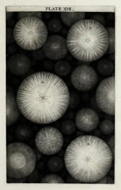 An original theory or new hypothesis of the universe, Plate XVII av Thomas Wright