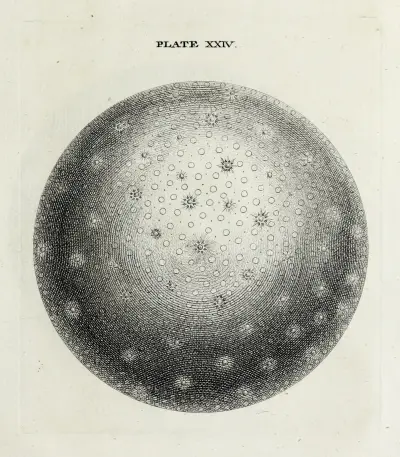 An original theory or new hypothesis of the universe, Plate XXIV av Thomas Wright