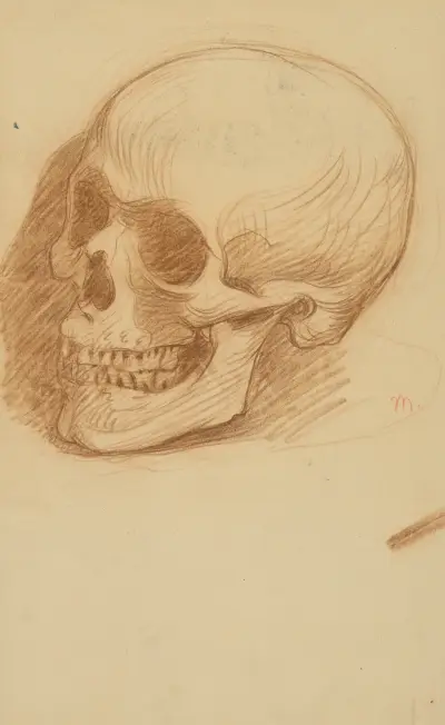 Schädelstudie von Milan Thomka Mitrovský
