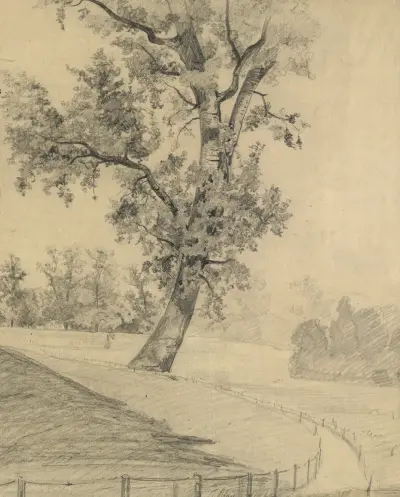 Parklandschaft von Tina Blau