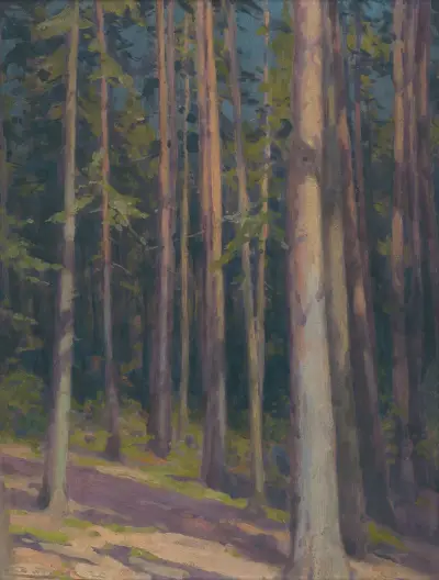 Fir forest von Ľudovít Čordák