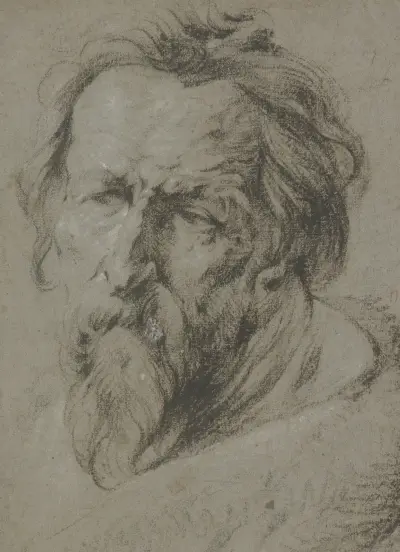 Kopf eines bärtigen Alten nach links av Anthony van Dyck
