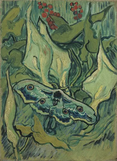 Emperor moth av Vincent van Gogh