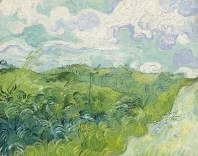 Green Wheat Fields, Auvers av Vincent van Gogh