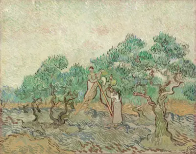 The Olive Orchard av Vincent van Gogh