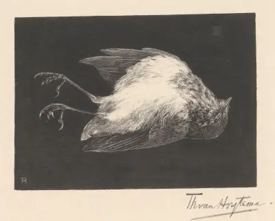 Död rödhake av Theo van Hoytema