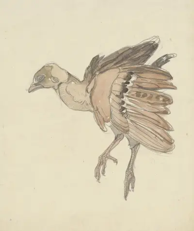 Dood vogeltje av Theo van Hoytema