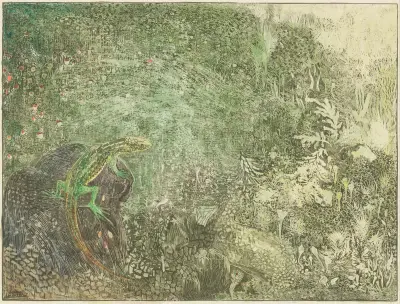 Ještěrka na kameni, 1878 – č. 2, Theo van Hoytema