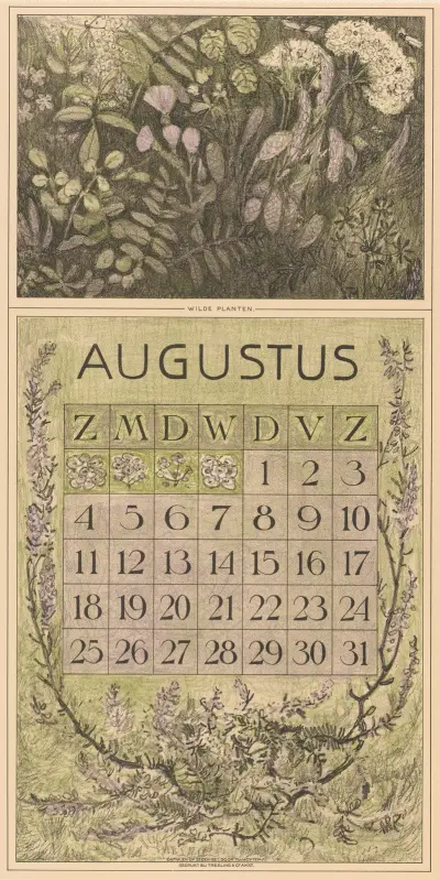 Kalenderblad augusti med växter av Theo van Hoytema