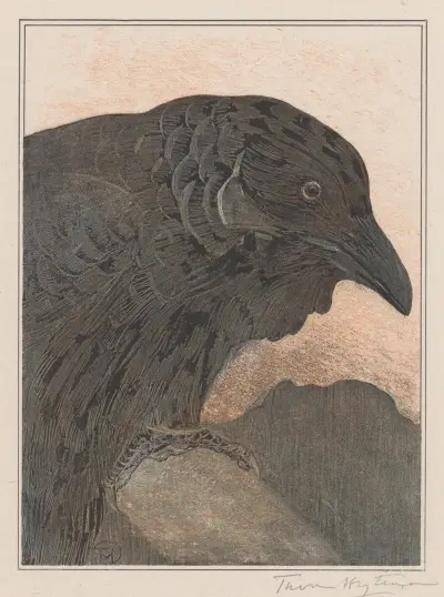 Krähe, 1878 von Theo van Hoytema