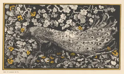 Pauw (in or before 1877 - 1903) av Theo van Hoytema