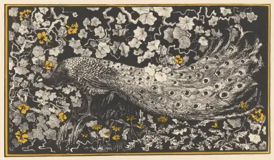 Peacock av Theo van Hoytema