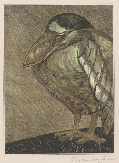 Schuitbekreiger i regn av Theo van Hoytema