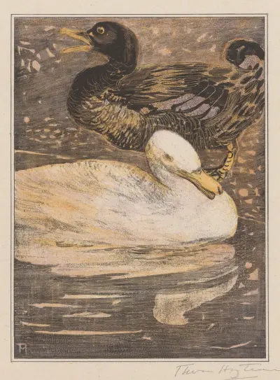 Zwei Enten, 1878 von Theo van Hoytema