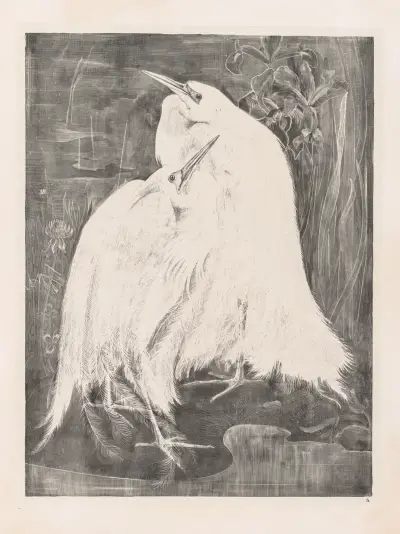 Zwei Silberreiher, 1898 – Nr. 2 von Theo van Hoytema