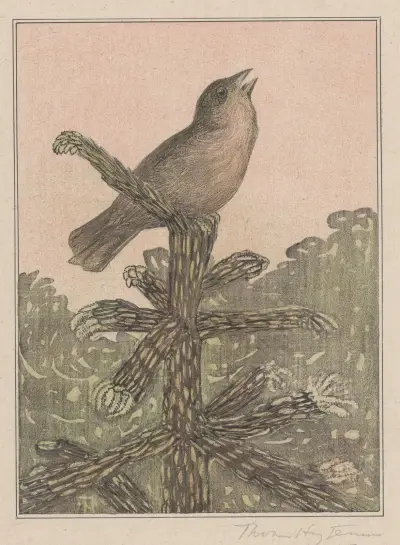 Singender Vogel auf Nadelbaum von Theo van Hoytema