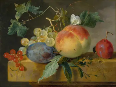 Fruit Still Life av Jan van Huysum