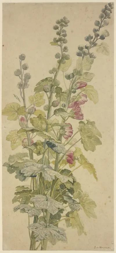 Rosella av Jan van Huysum