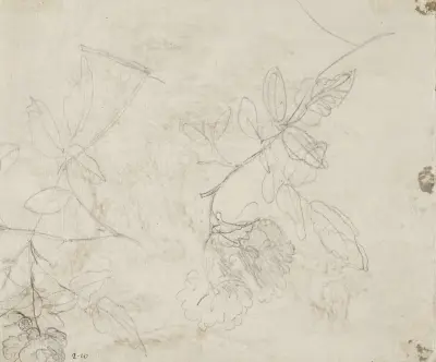 Two blooming branches av Jan van Huysum