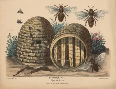 Bijen en Korven av Hendrik Jan van Lummel