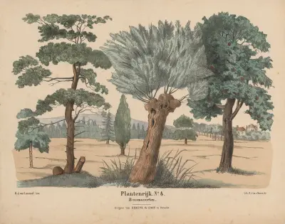 Boomsoorten av Hendrik Jan van Lummel