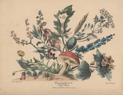 Vergift-Planten av Hendrik Jan van Lummel