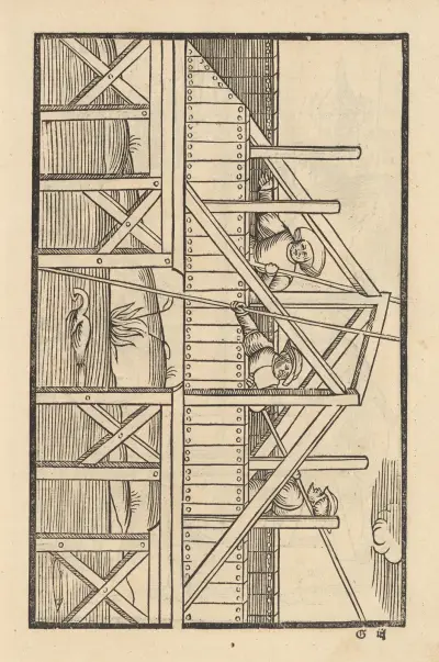 Vier Bücher der Ritterschafft Pl.003 av Flavius Vegetius Renatus
