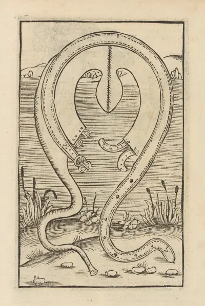 Fyra böcker om ridderskapet, plansch 043 av Flavius Vegetius Renatus