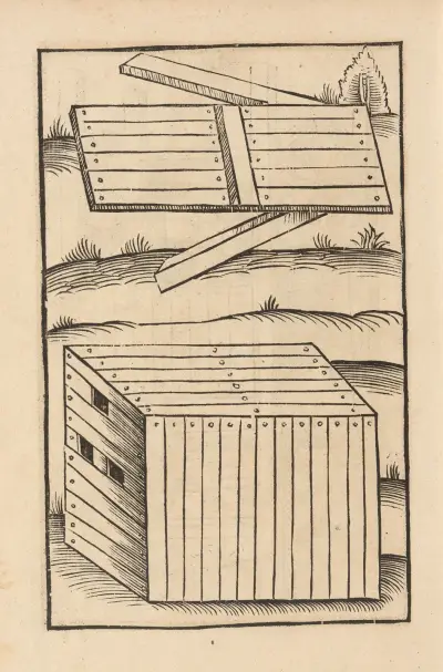 Vier Bücher der Ritterschafft Pl.073 av Flavius Vegetius Renatus