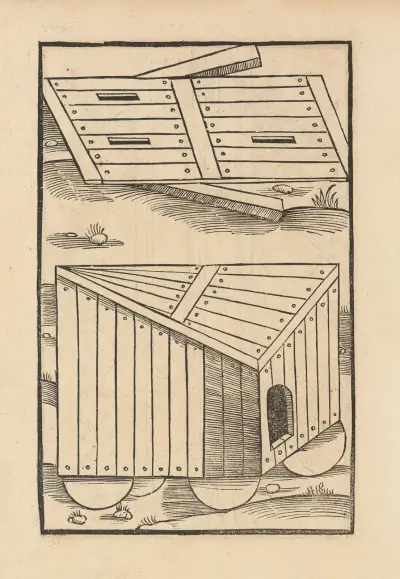 Vier Bücher der Ritterschafft Pl.078 av Flavius Vegetius Renatus