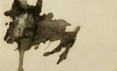 Spetsfläck av Victor Hugo