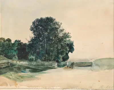Baumstudie von Rudolf von Alt