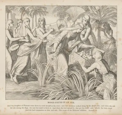Moses hittas i en ark av Julius Schnorr von Carolsfeld