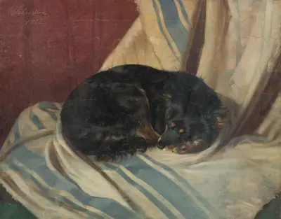 Study of a Dog Lying Down av Friedrich Carl von Scheidlin