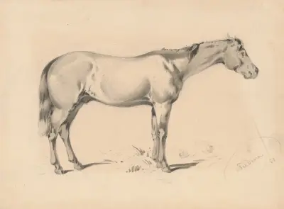 Studie av en häst I. av Friedrich Carl von Scheidlin