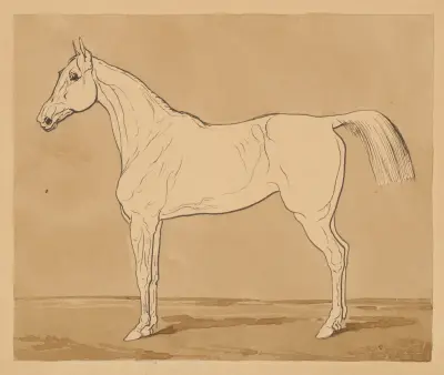 Study of a Horse II. av Friedrich Carl von Scheidlin