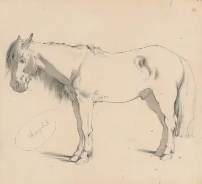 Studie av en häst med lång man II av Friedrich Carl von Scheidlin