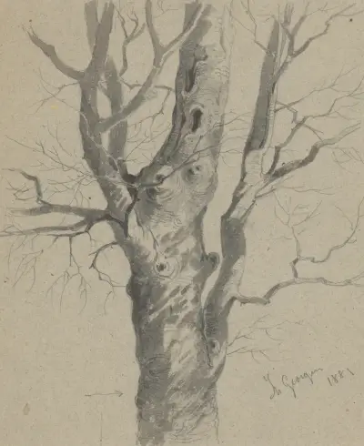 Study of a Knotted Tree Trunk av Friedrich Carl von Scheidlin