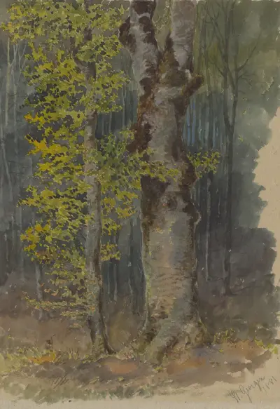 Studie av en trädgren som förgrenar sig av Friedrich Carl von Scheidlin
