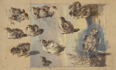Studie av kycklingar av Friedrich Carl von Scheidlin