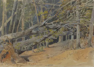 Study of Cut Down Trees av Friedrich Carl von Scheidlin