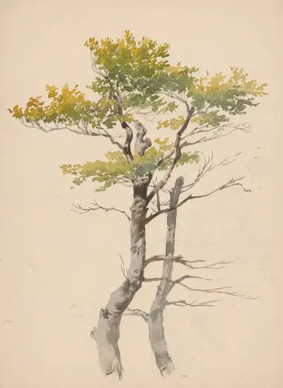 Study of Deciduous Tree av Friedrich Carl von Scheidlin