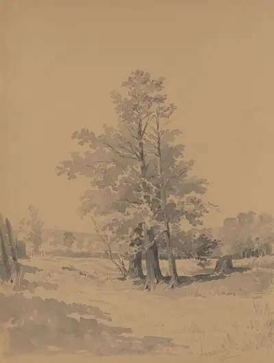 Trees at the Edge of the Forest av Friedrich Carl von Scheidlin
