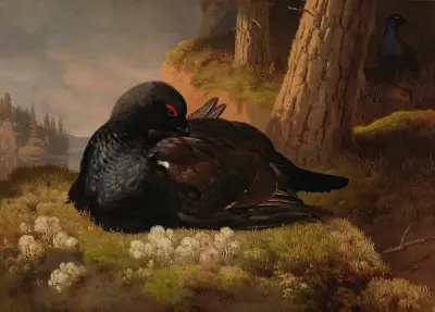 Black Grouse av Ferdinand von Wright