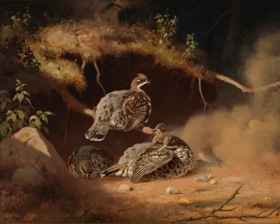 Hazel Grouse Wallowing In Sand av Ferdinand von Wright