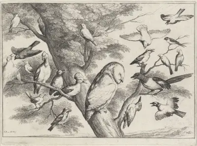 A Barn owl in a tree is surrounded and mobbed by birds of many sorts av Wenceslaus Hollar