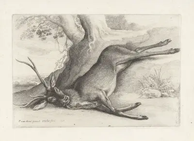 A dead stag lying in a wooded landscape av Wenceslaus Hollar