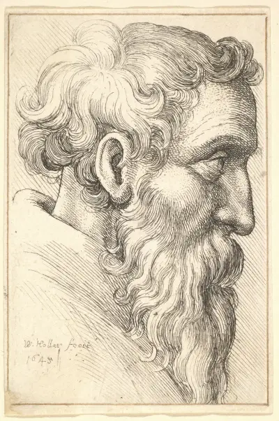 Bärtiger alter Mann im Profil nach rechts von Wenceslaus Hollar