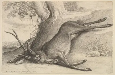 Toter Hirsch von Wenceslaus Hollar