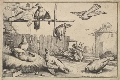 Acht Tauben auf einem Bauernhof an einem Taubenschlag, Taubenschlag im Hintergrund von Wenceslaus Hollar